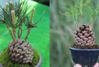 How to make pine trees for cake decoration